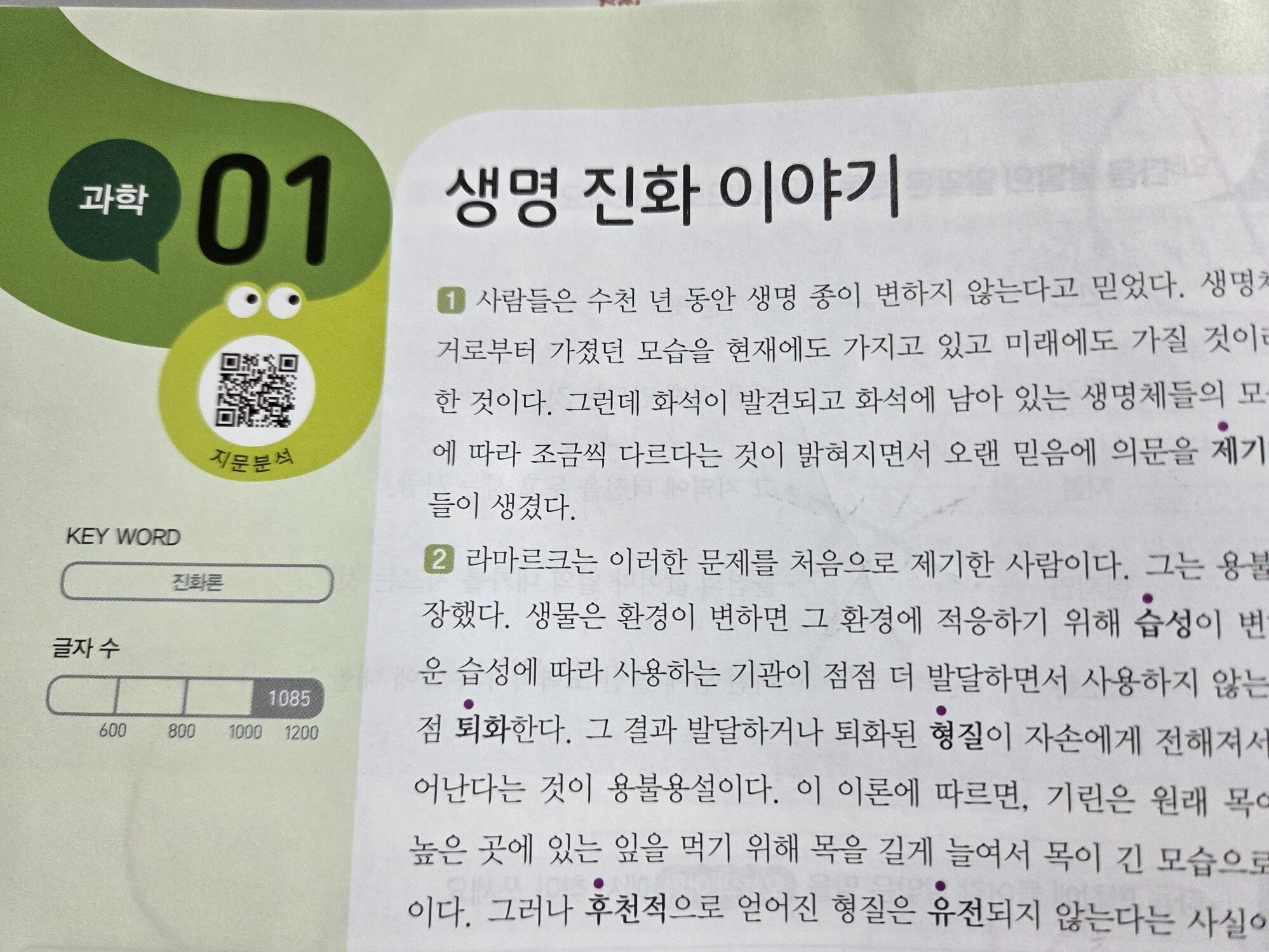첨부된 사진