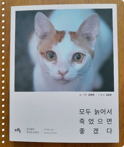 컨텐츠 이미지