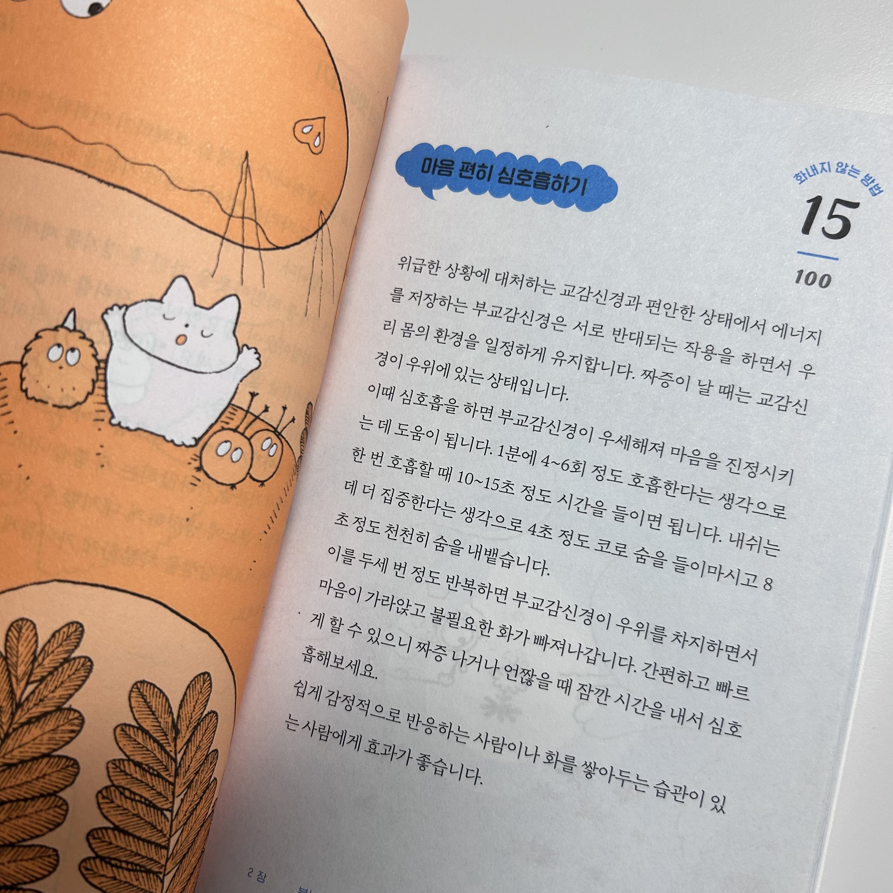 첨부된 사진