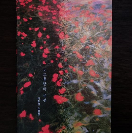 컨텐츠 이미지