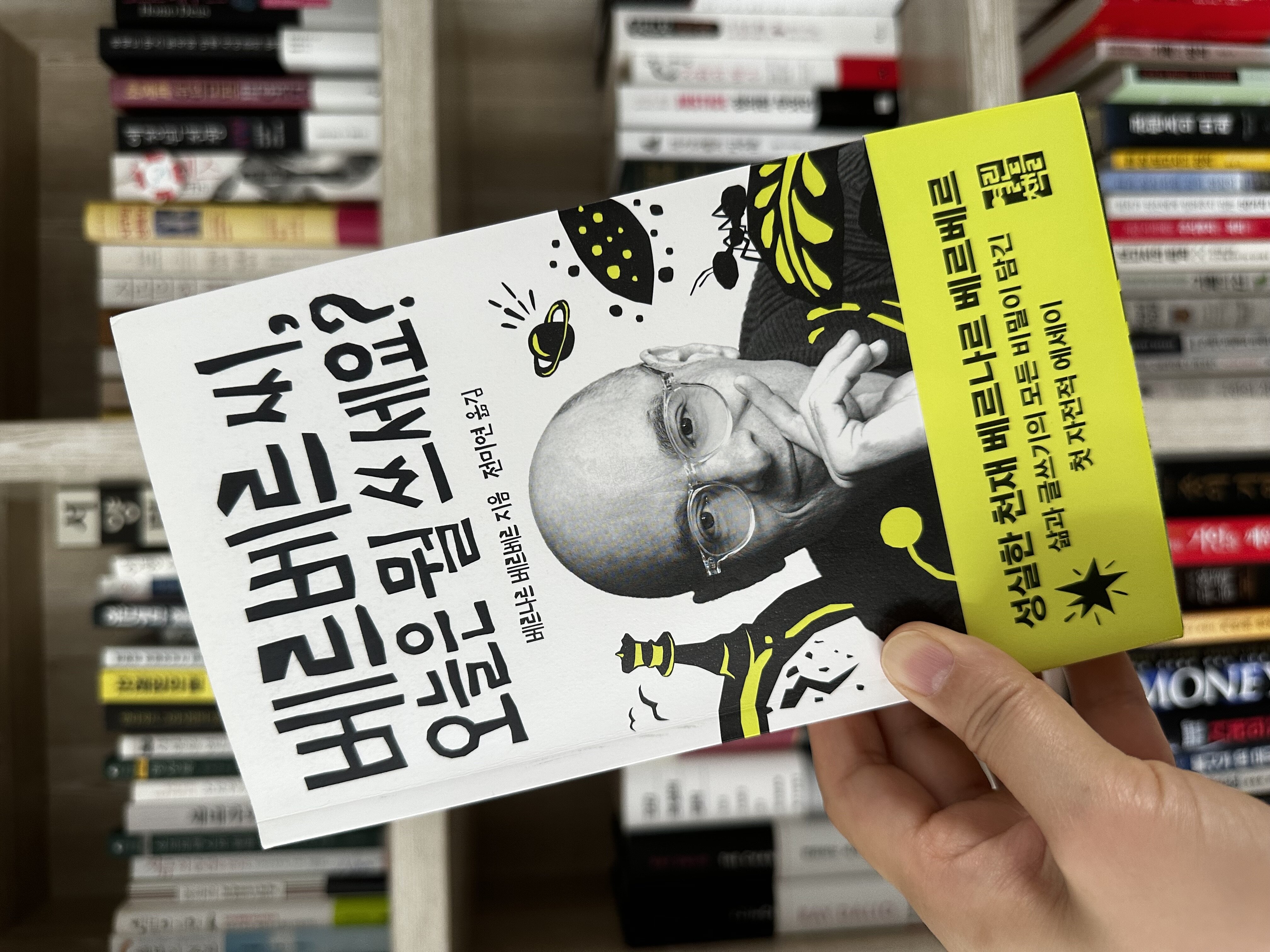 첨부된 사진