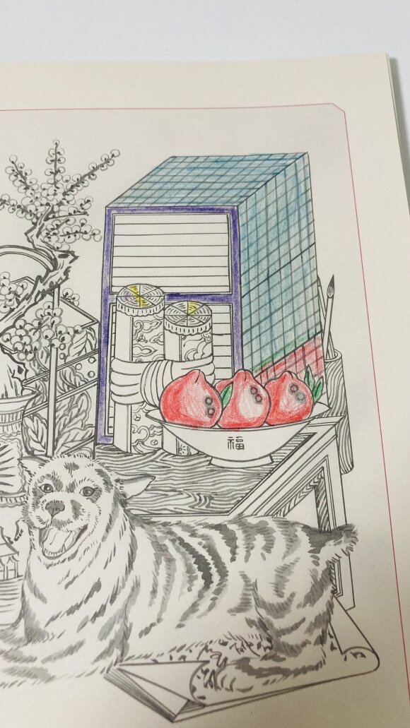 첨부된 사진
