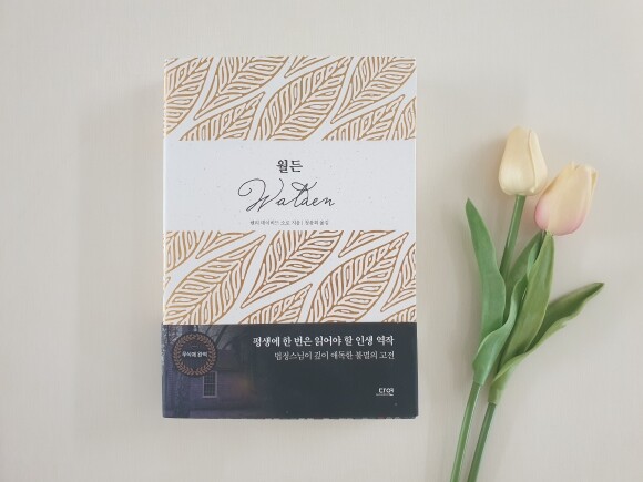 컨텐츠 이미지