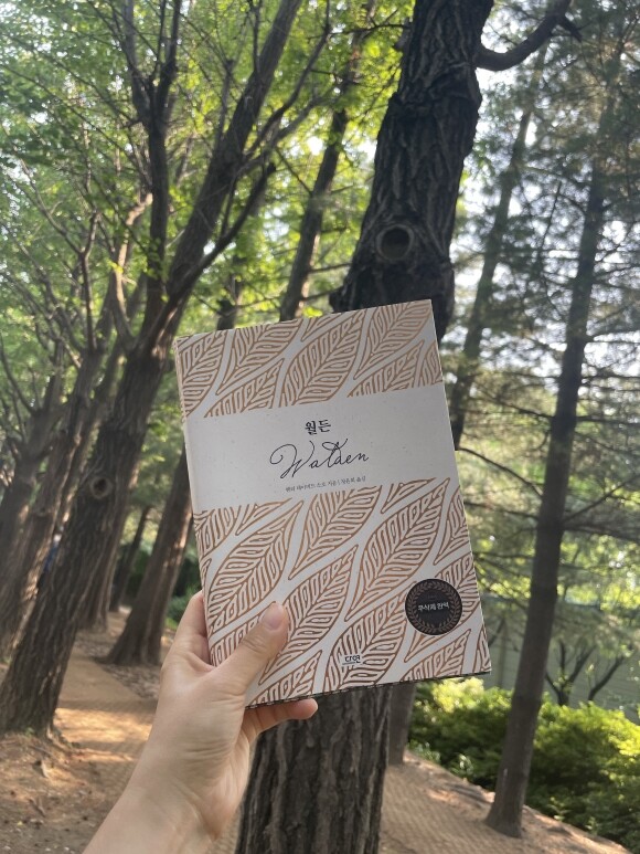 컨텐츠 이미지