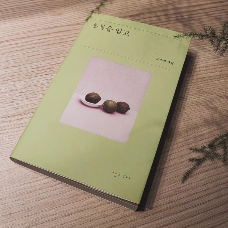 컨텐츠 이미지
