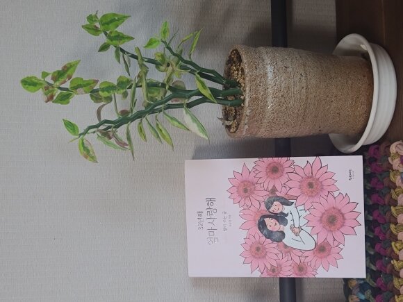 첨부된 사진