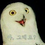 대표사진