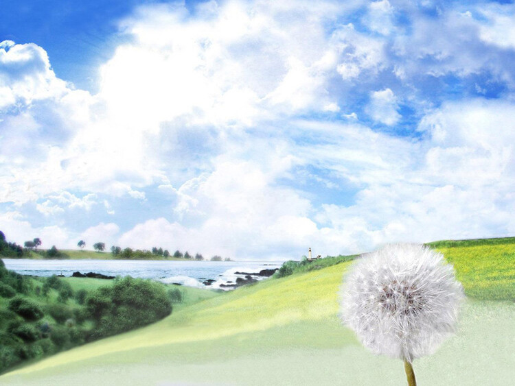 대표사진