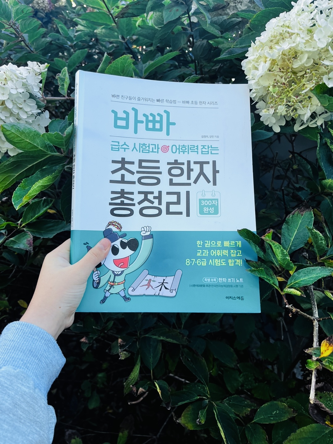 첨부된 사진