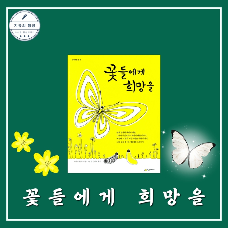 컨텐츠 이미지