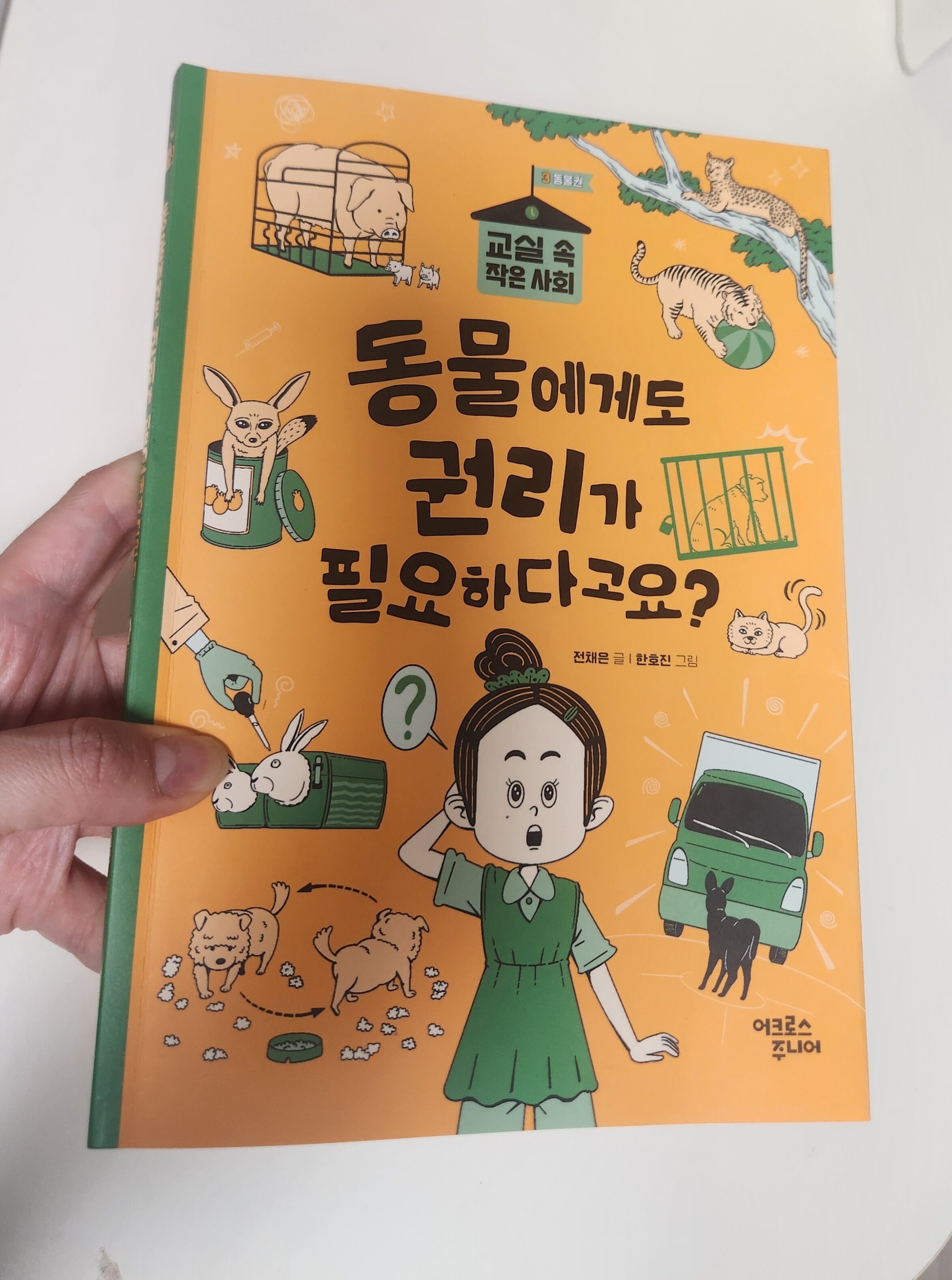 첨부된 사진