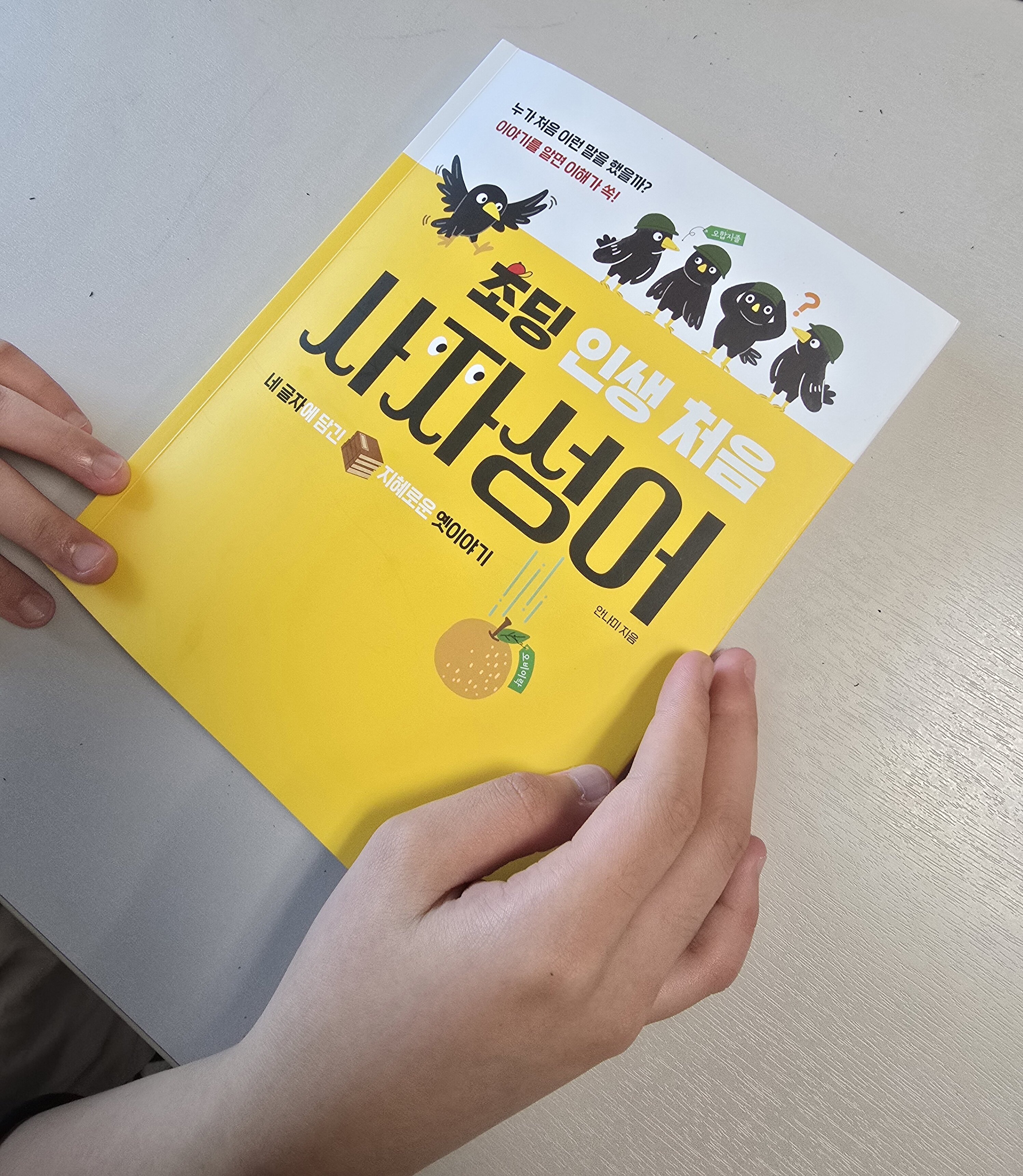 첨부된 사진