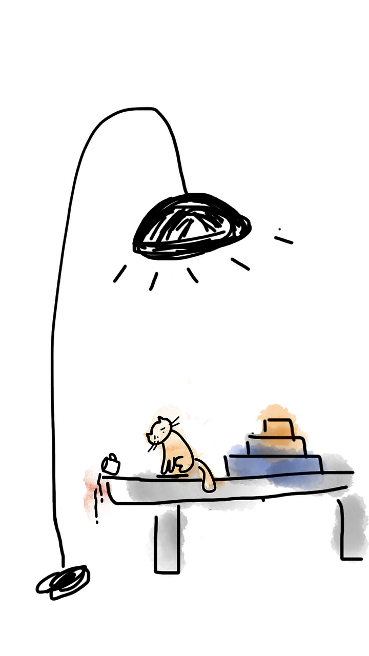 대표사진