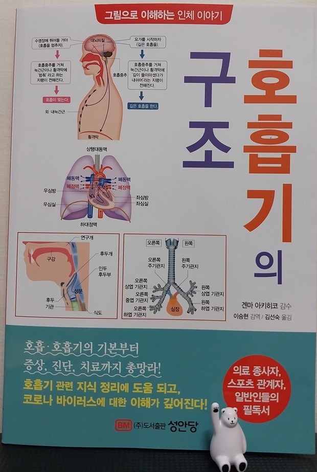 컨텐츠 이미지