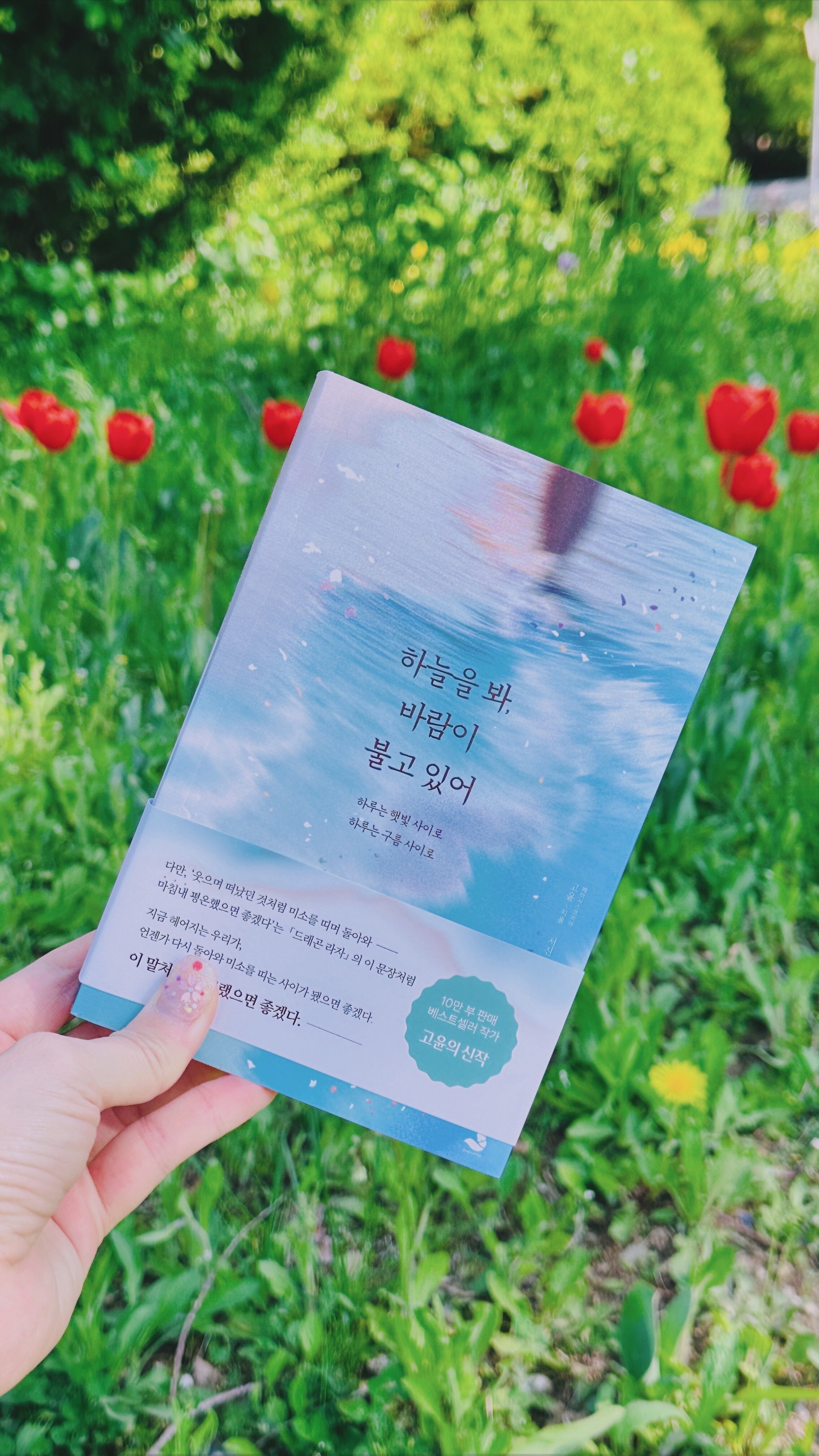 컨텐츠 이미지