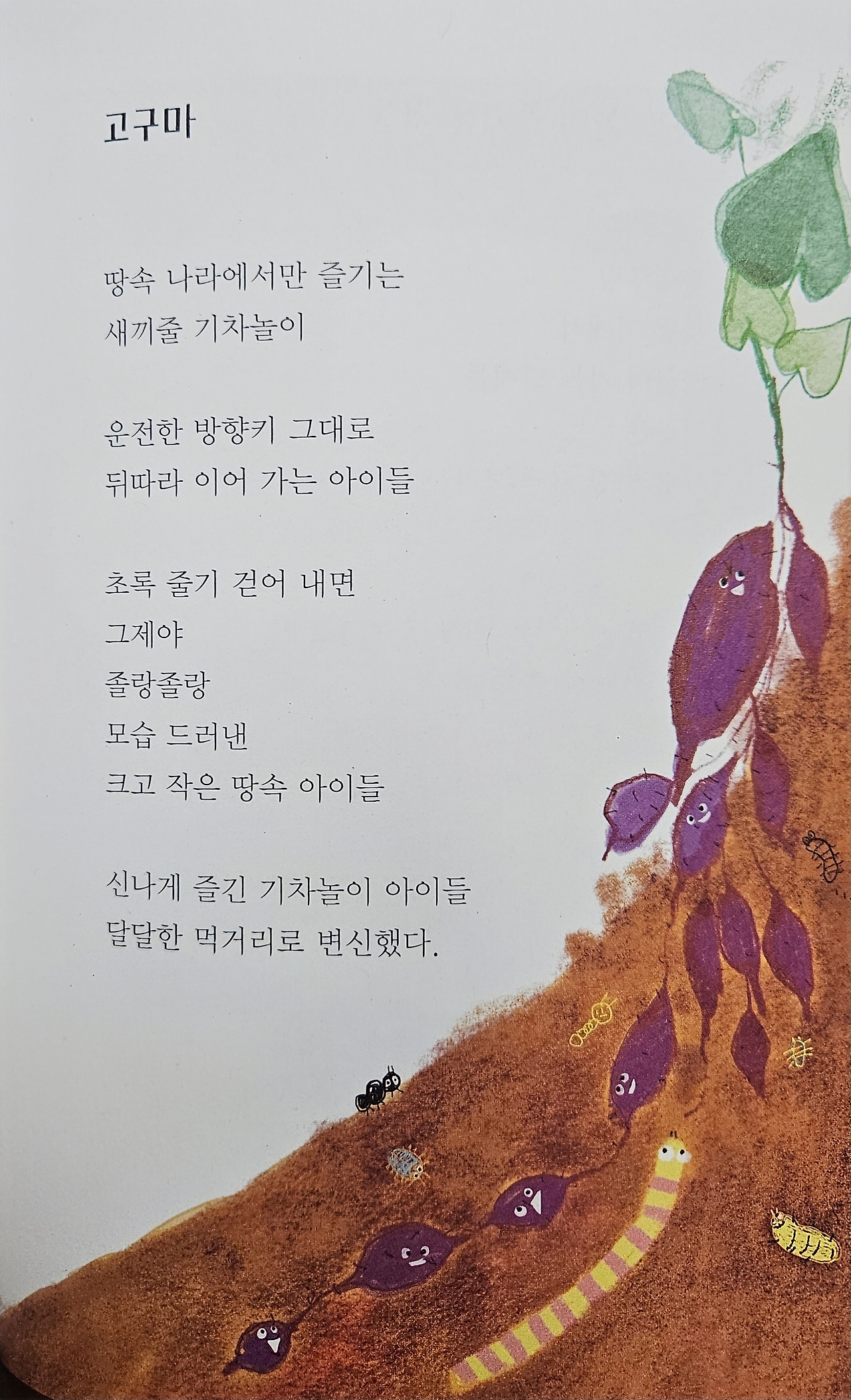 첨부된 사진