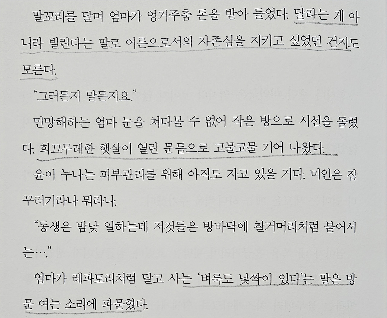 첨부된 사진