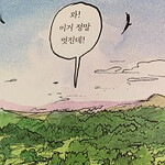대표사진