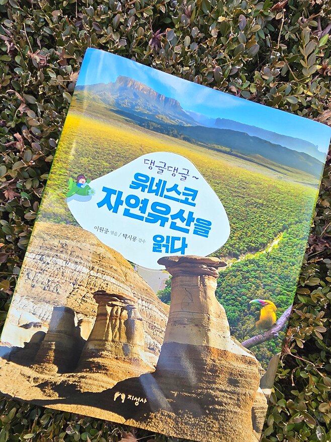 첨부된 사진