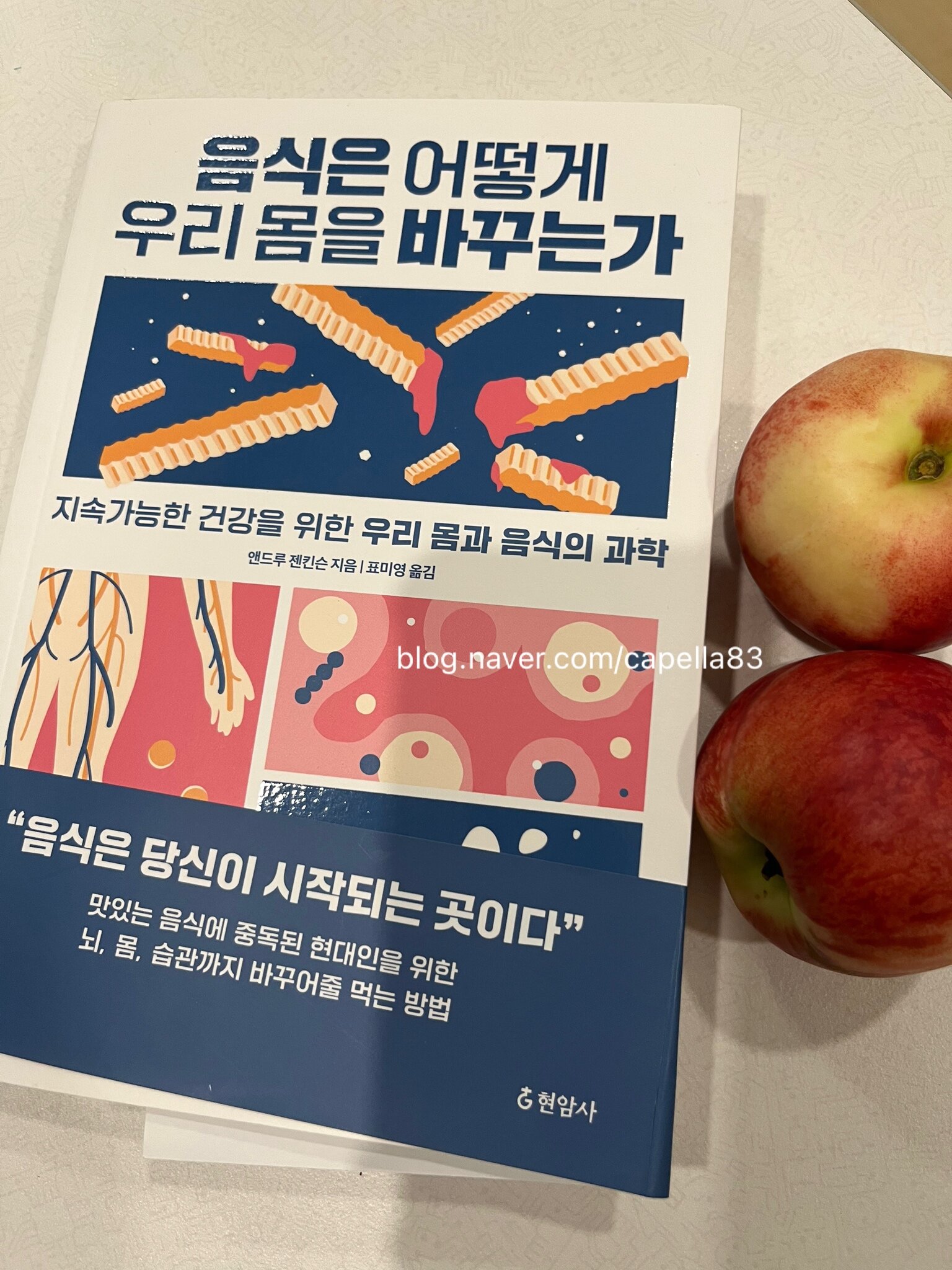 첨부된 사진
