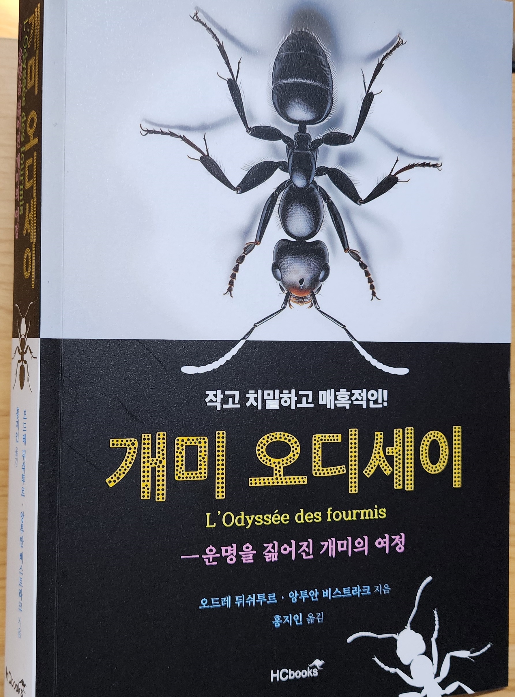 첨부된 사진