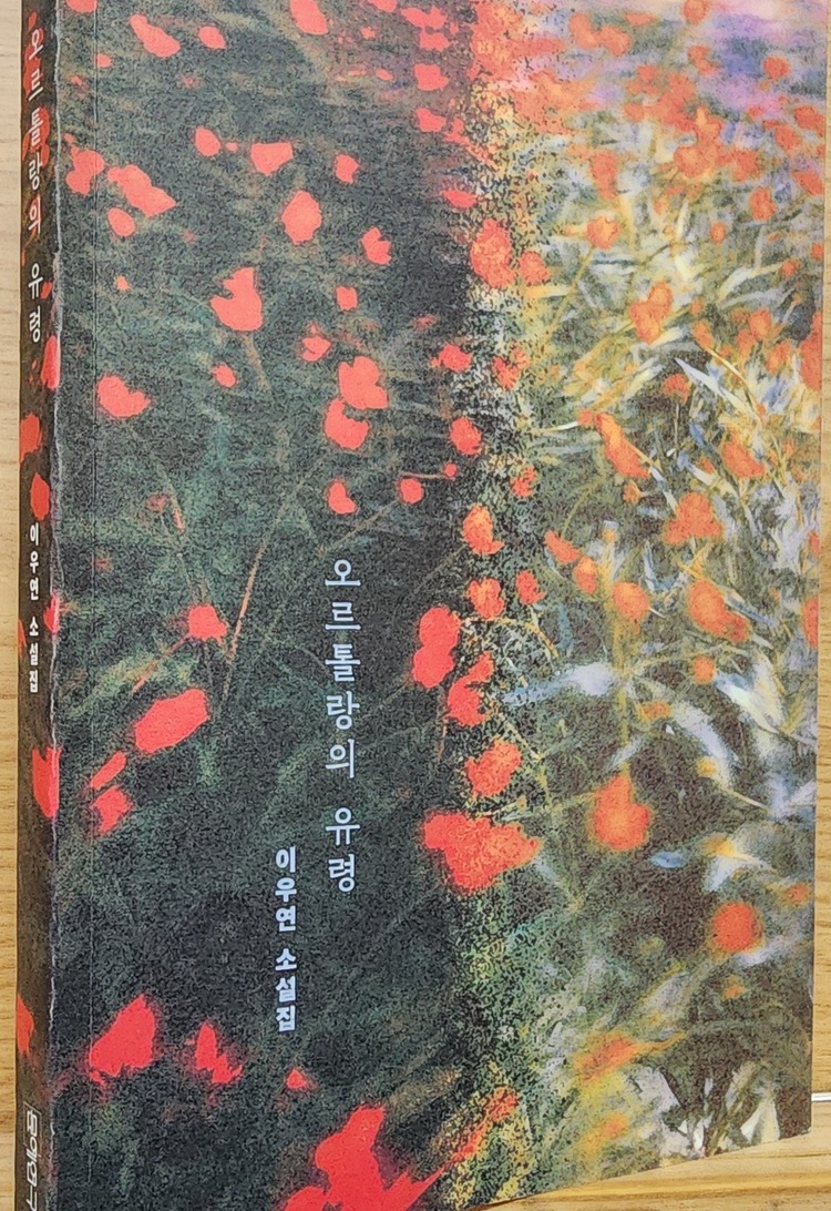 컨텐츠 이미지