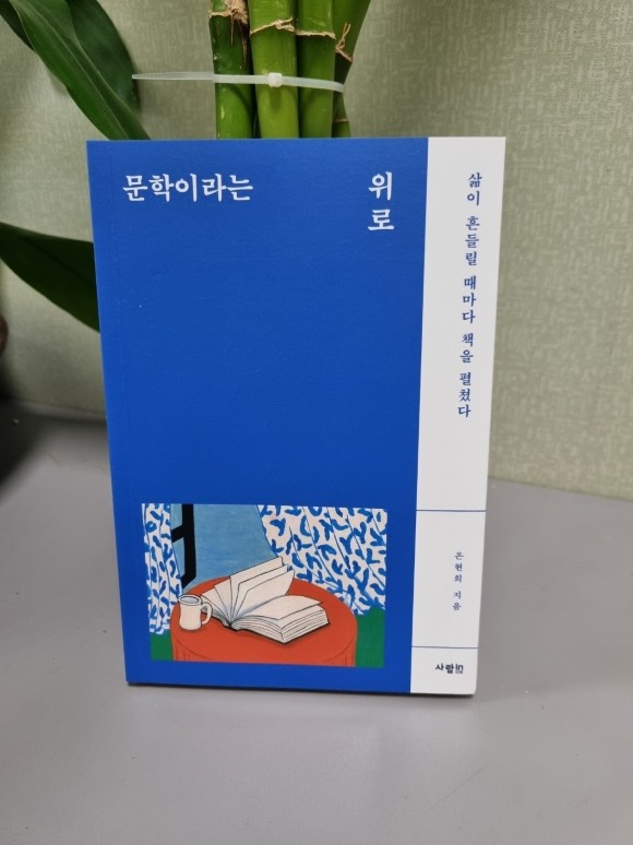 컨텐츠 이미지