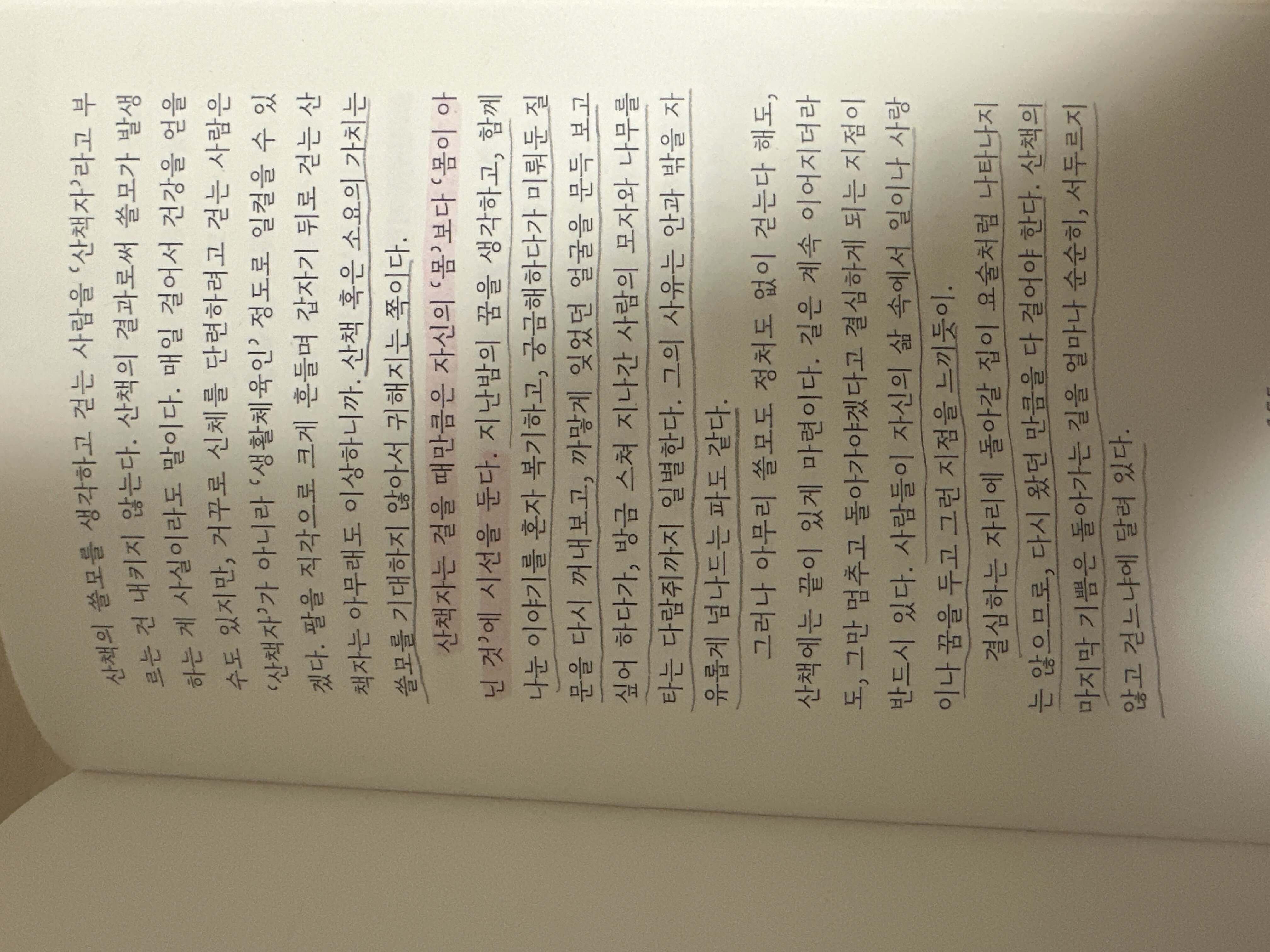 컨텐츠 이미지