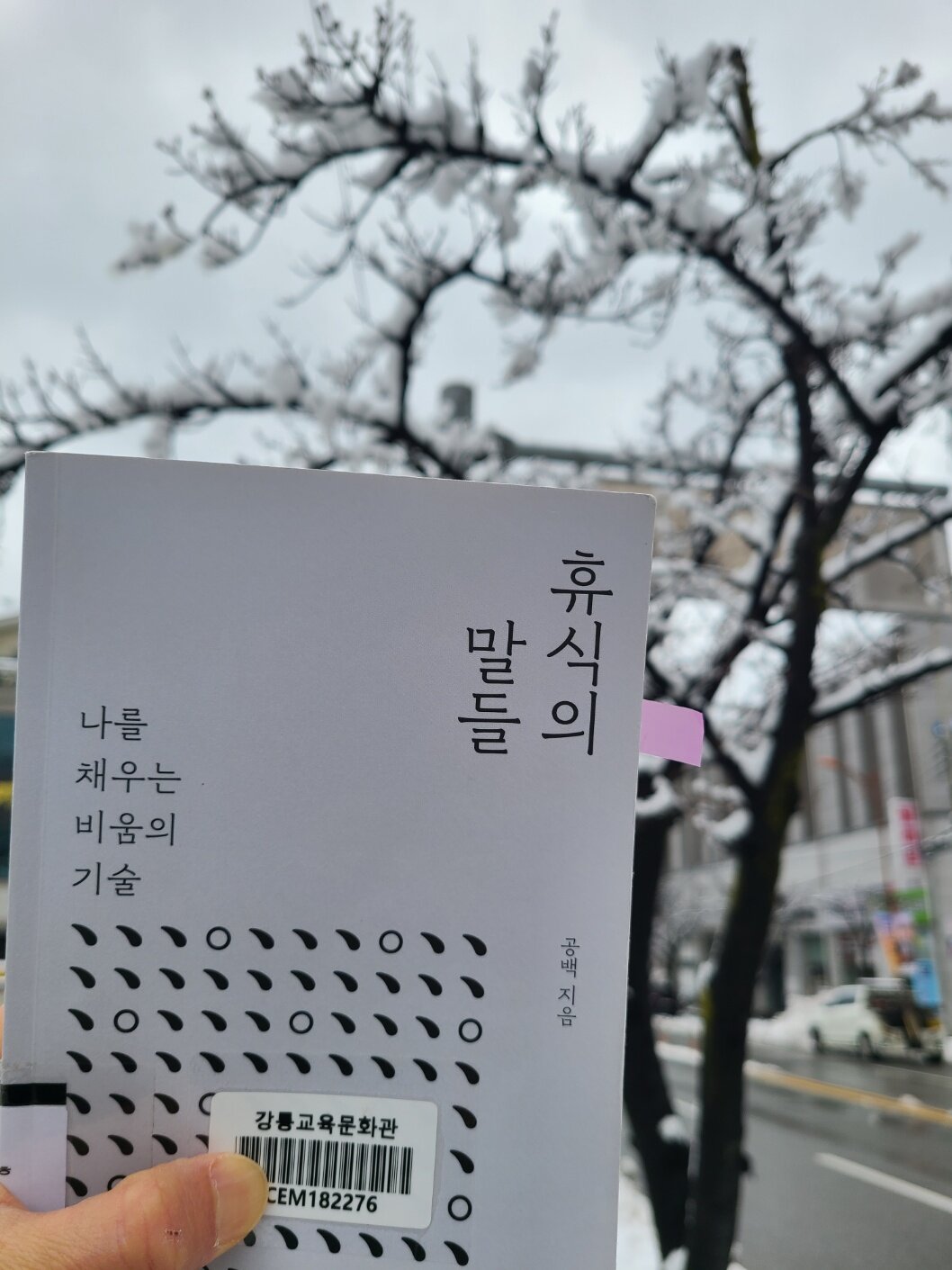 컨텐츠 이미지