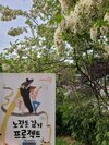 첨부된 사진