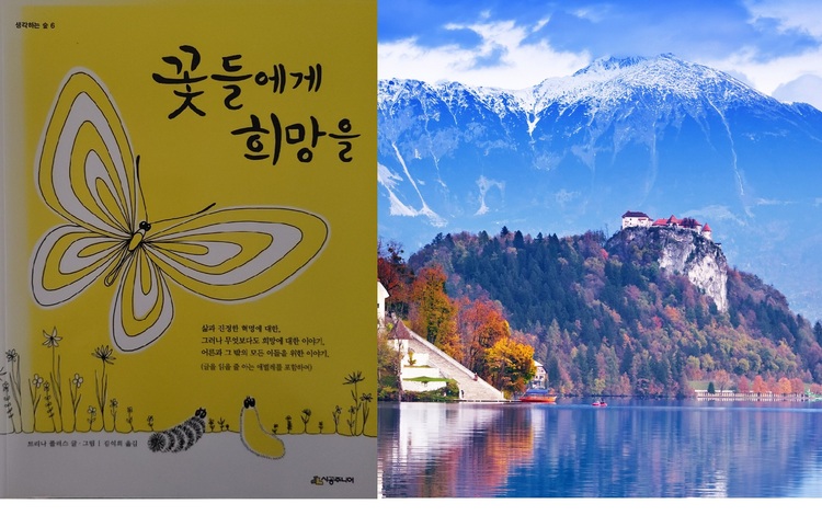 컨텐츠 이미지