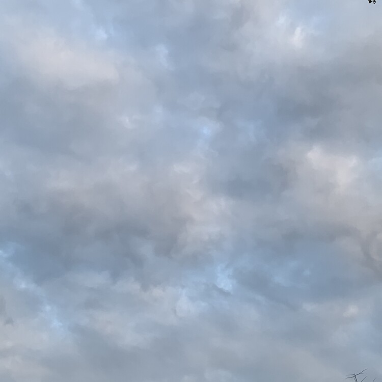 대표사진