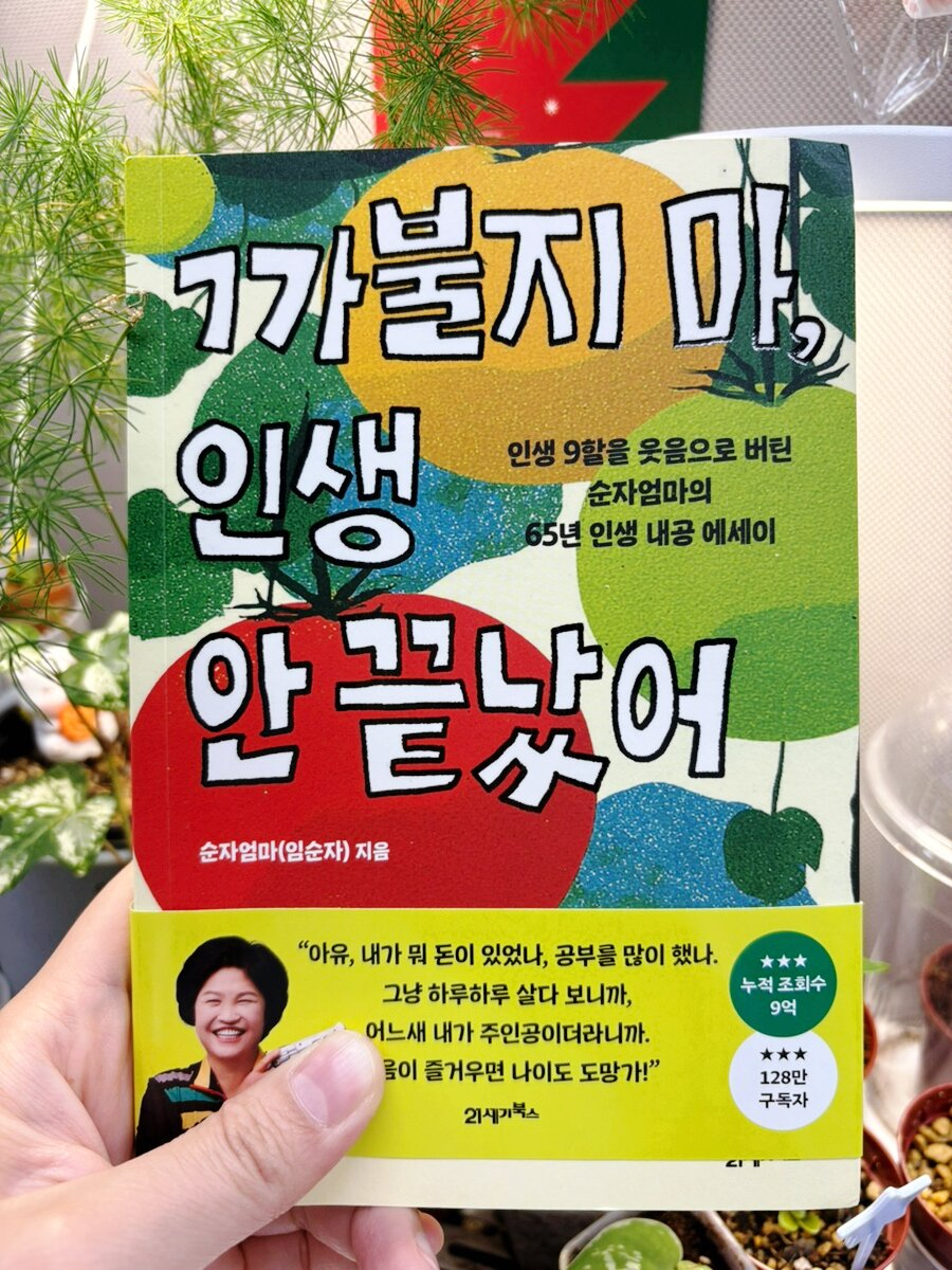 첨부된 사진