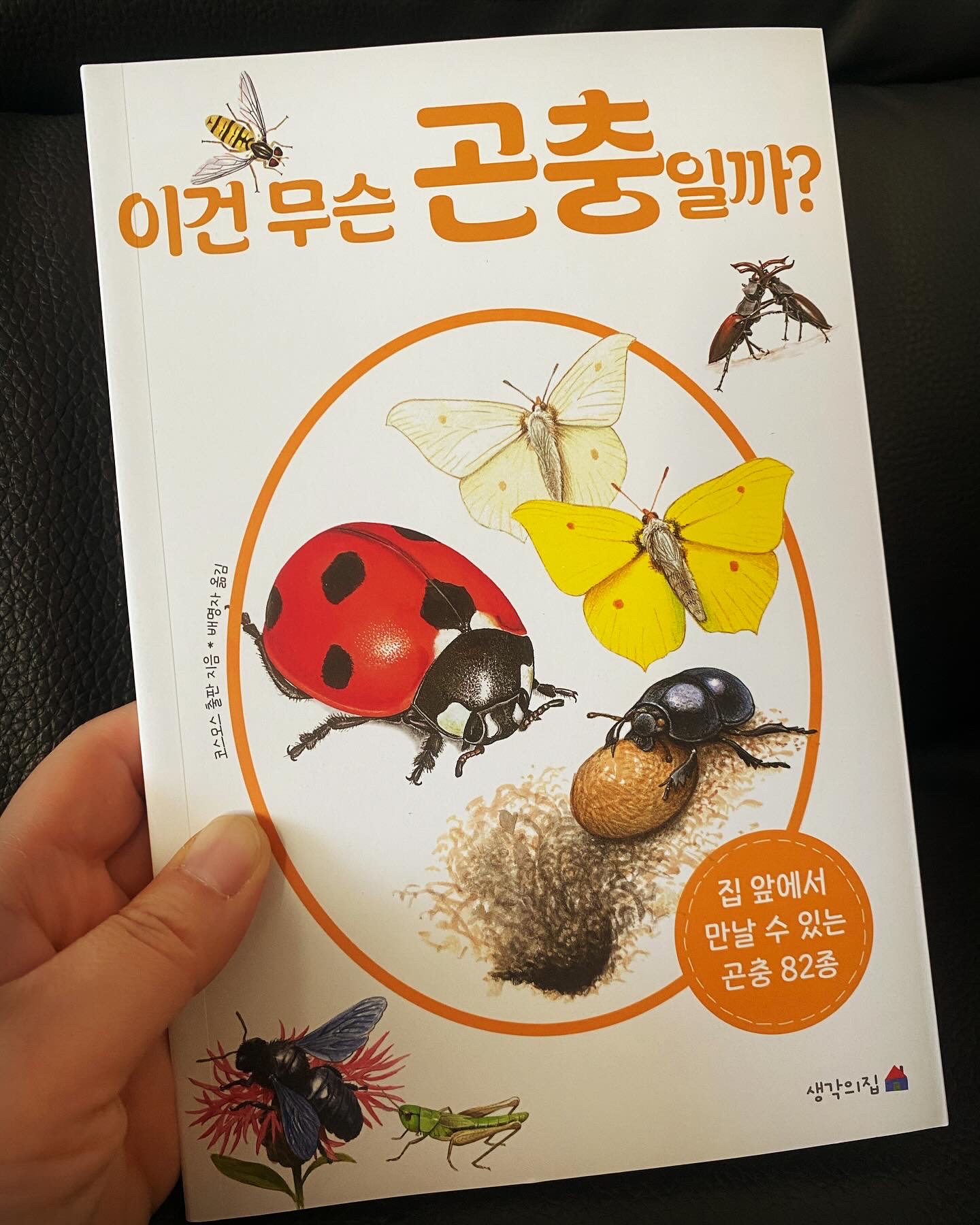 첨부된 사진