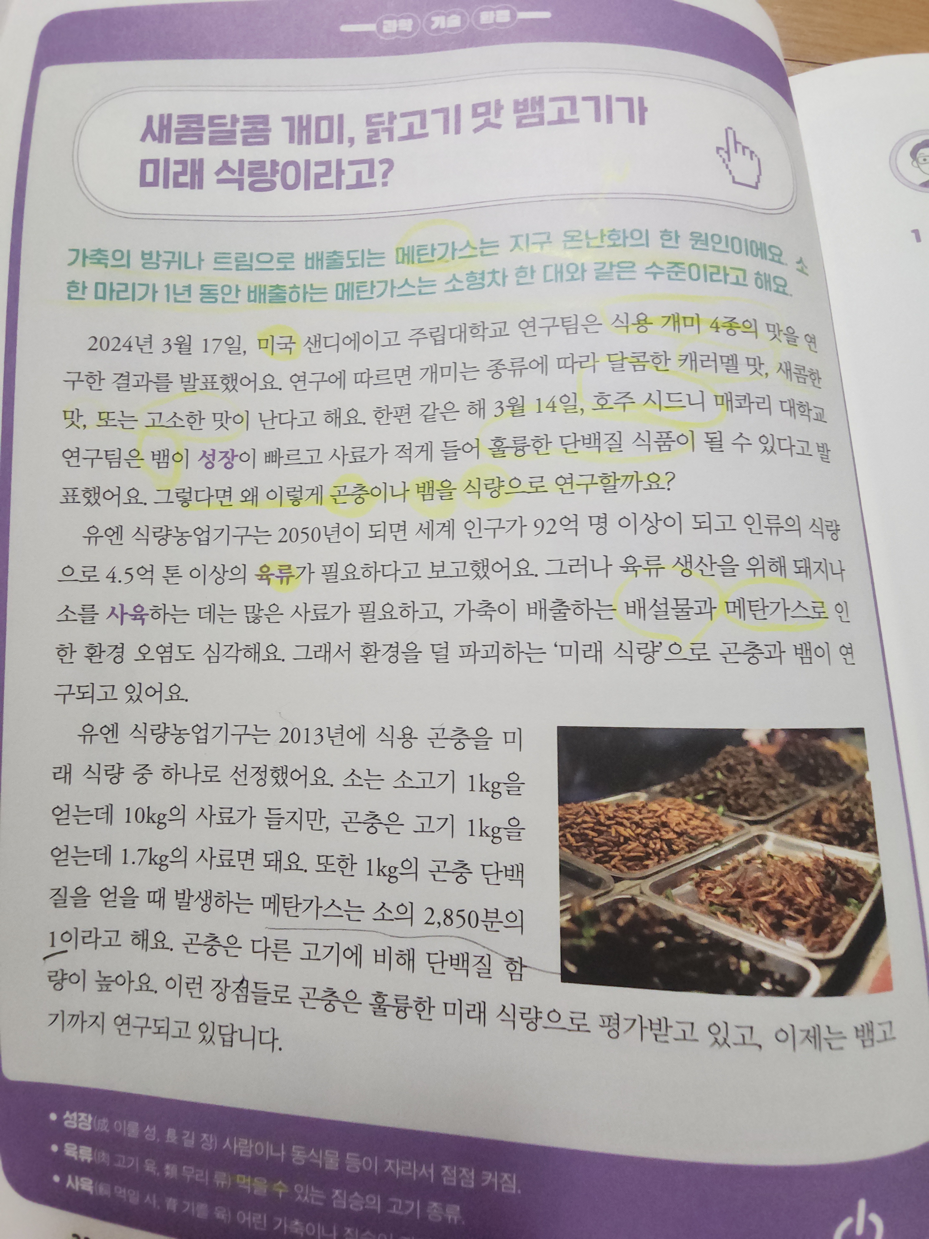 첨부된 사진