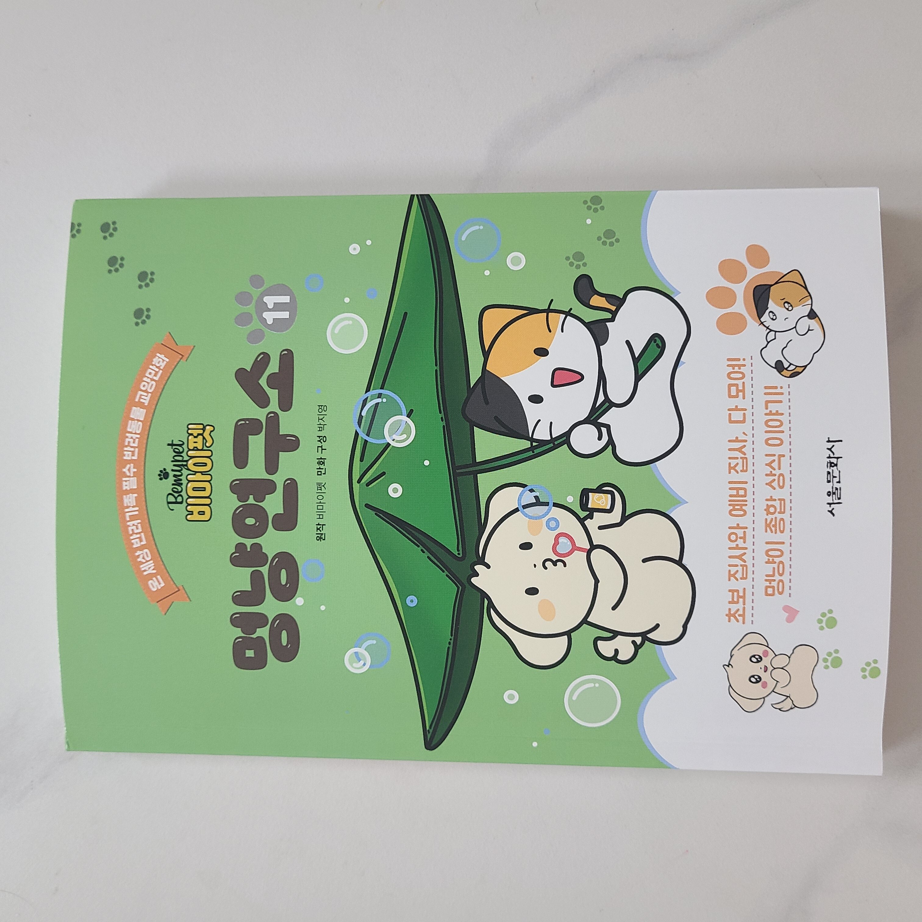 첨부된 사진