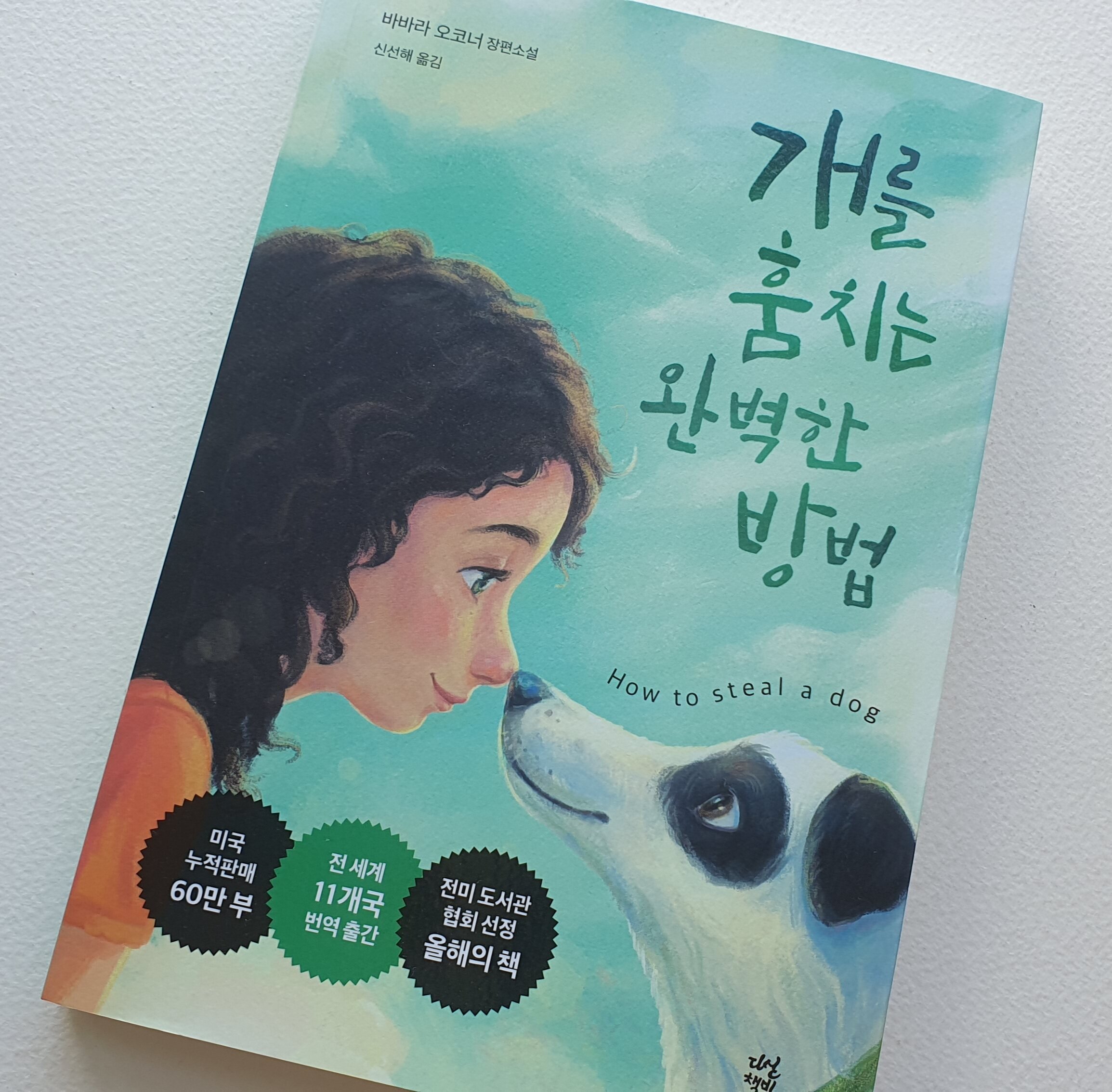 첨부된 사진