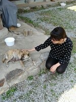 대표사진