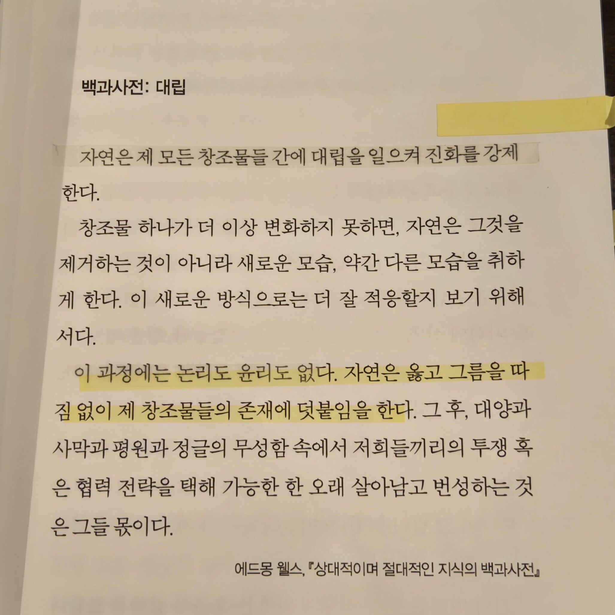 첨부된 사진
