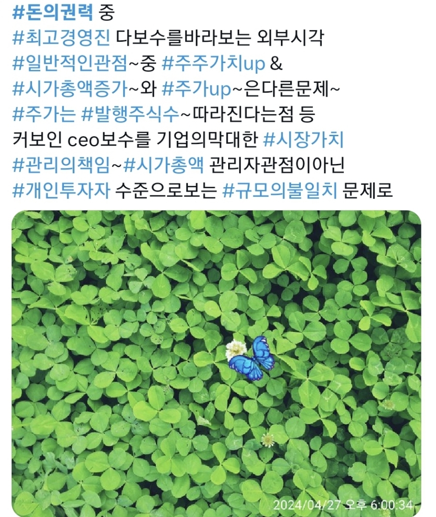 첨부된 사진