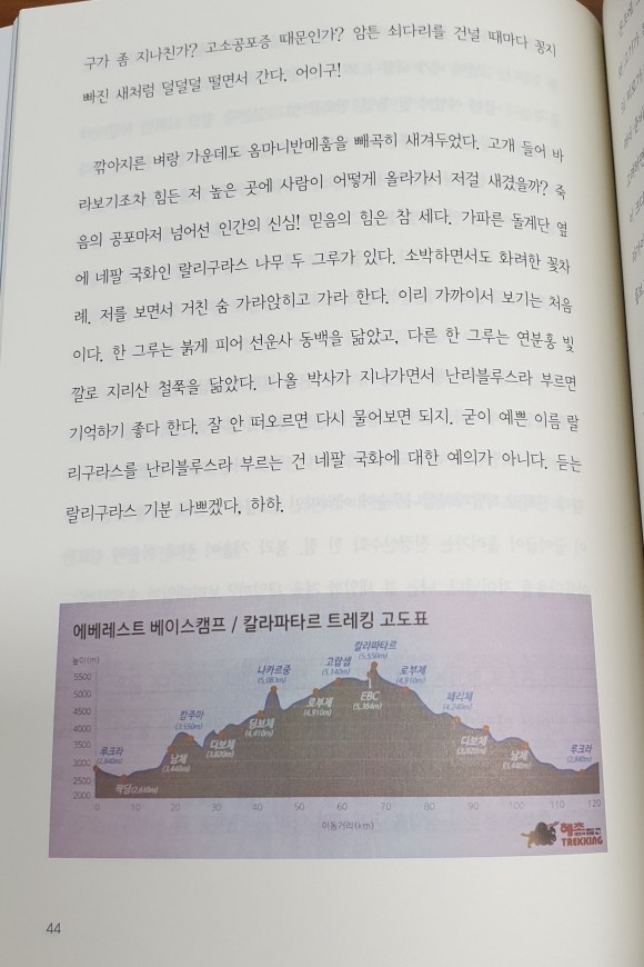 컨텐츠 이미지