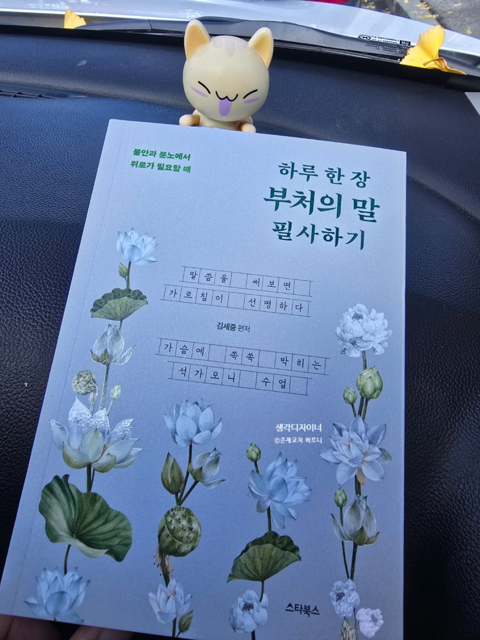 첨부된 사진