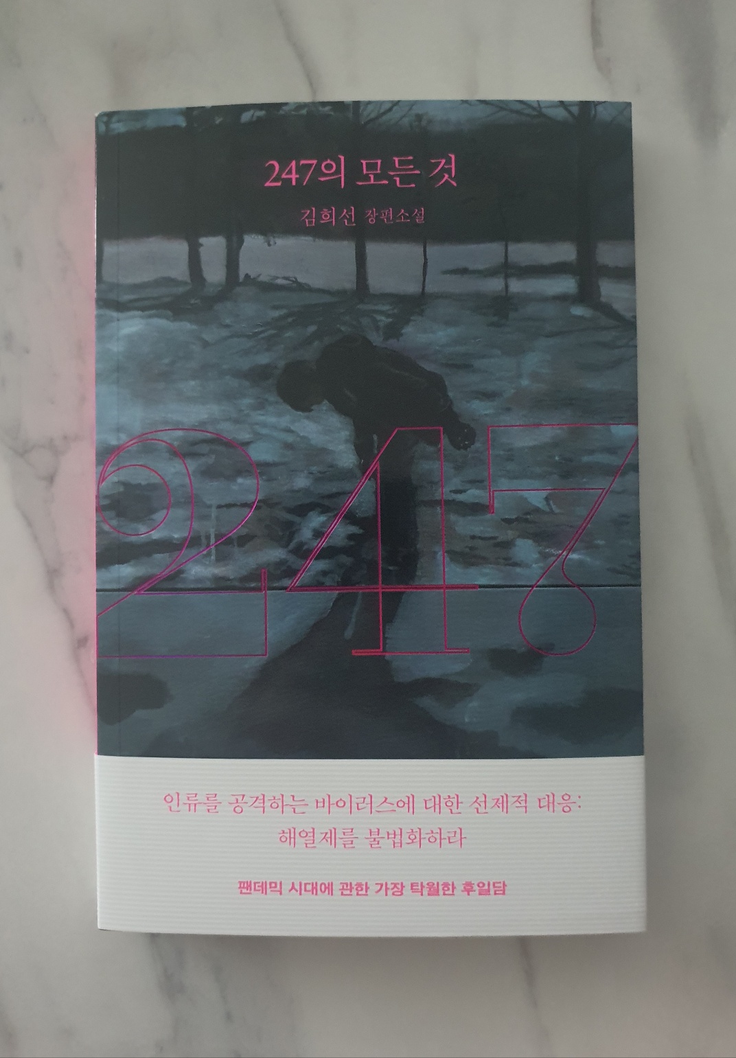 컨텐츠 이미지