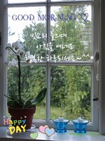 대표사진