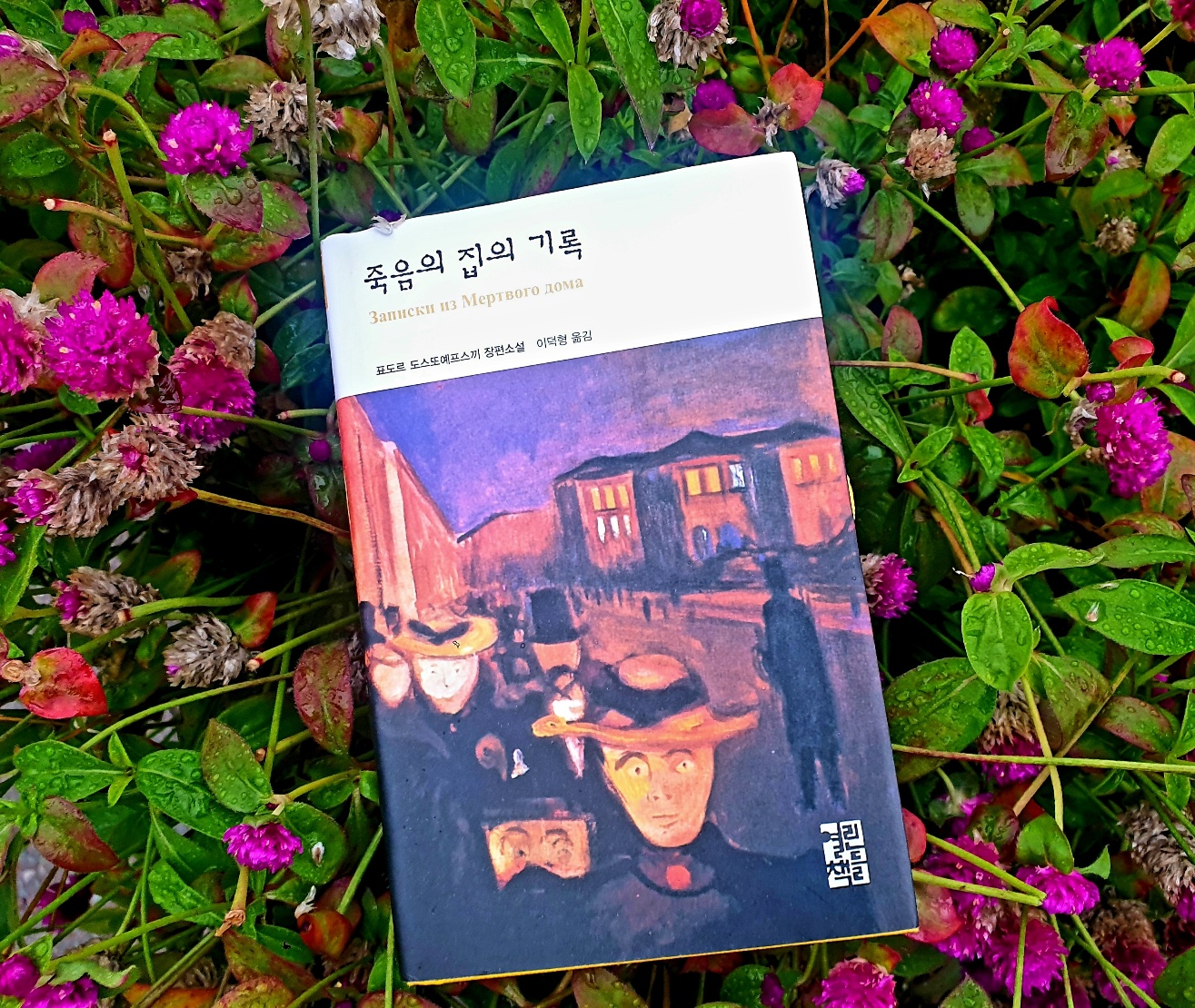 첨부된 사진