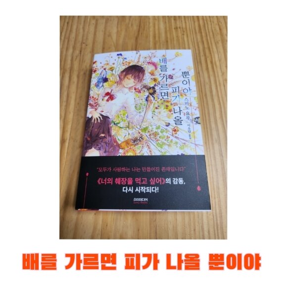 컨텐츠 이미지