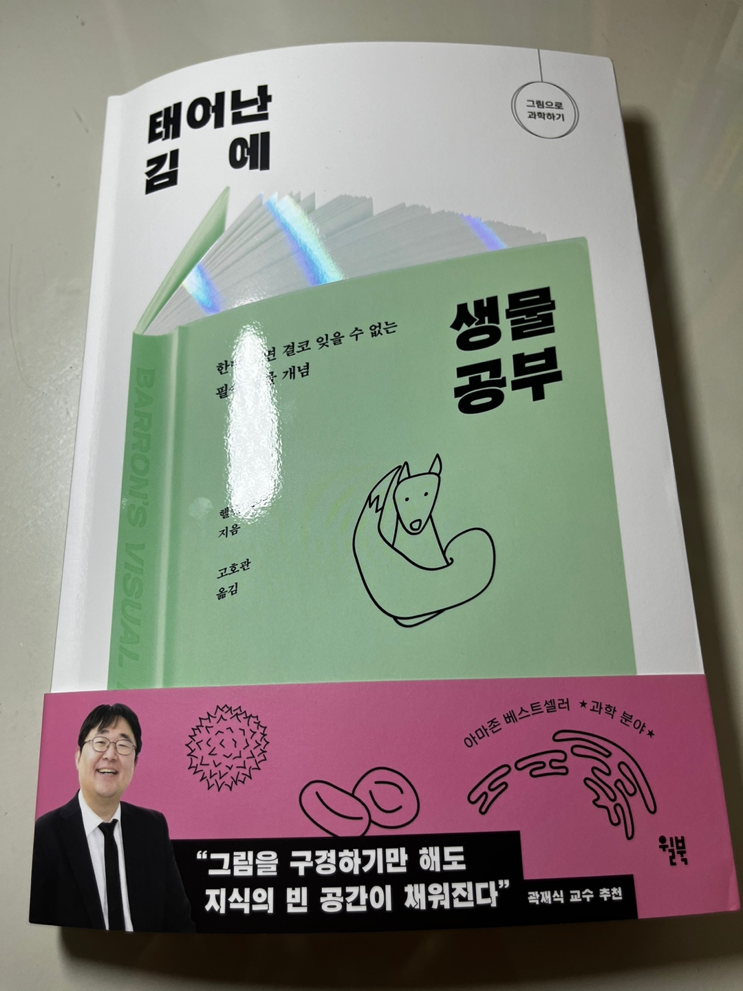 첨부된 사진