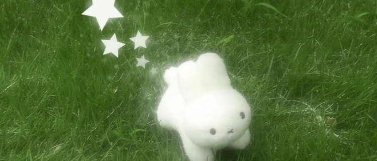 대표사진