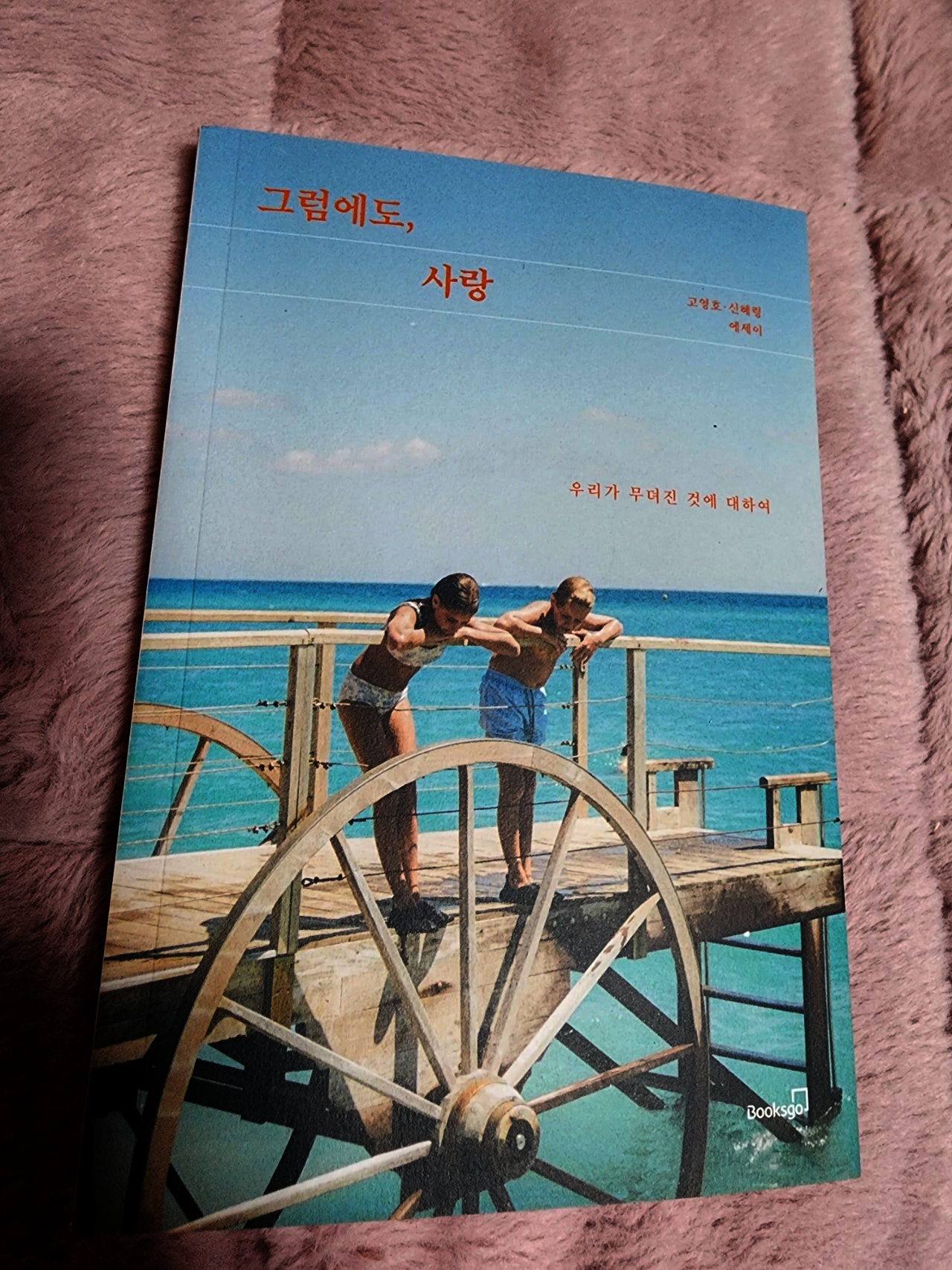 첨부된 사진