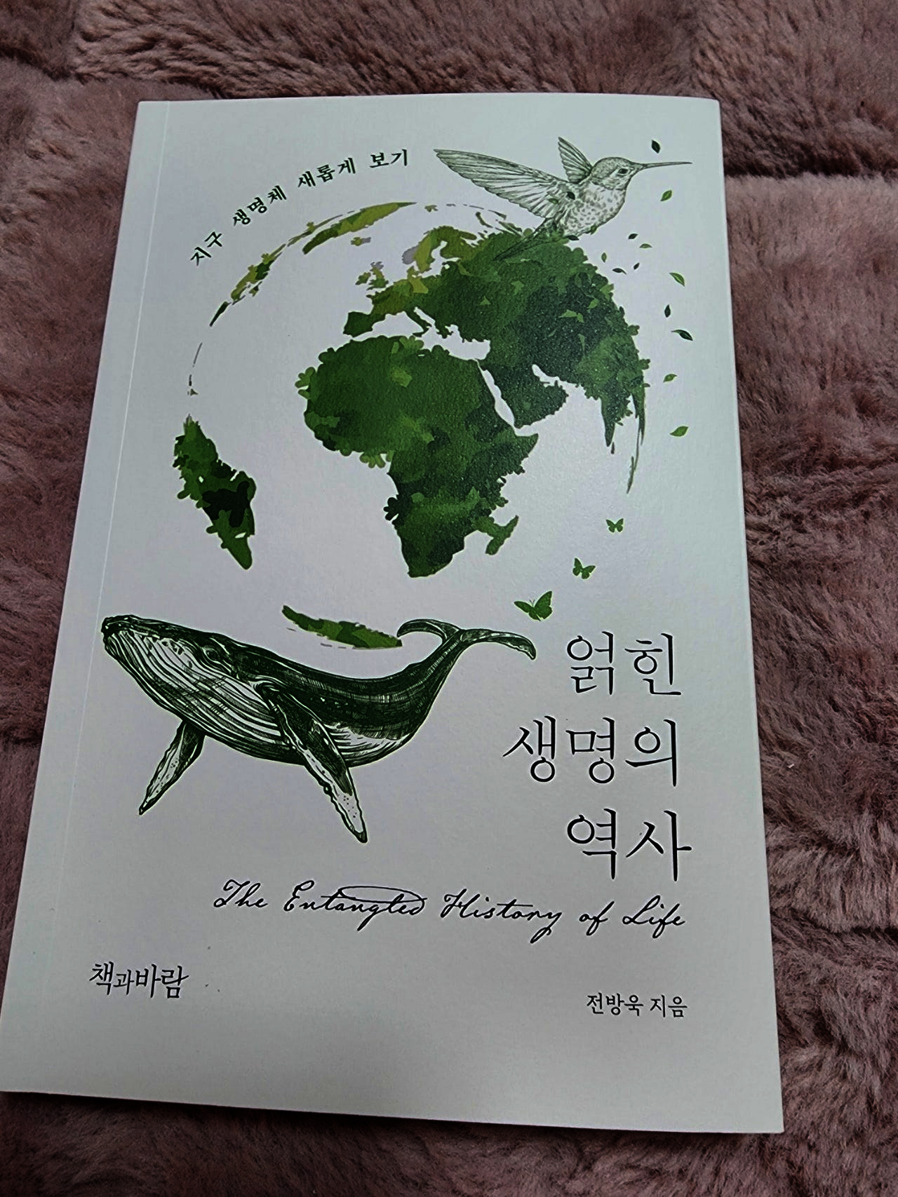 첨부된 사진